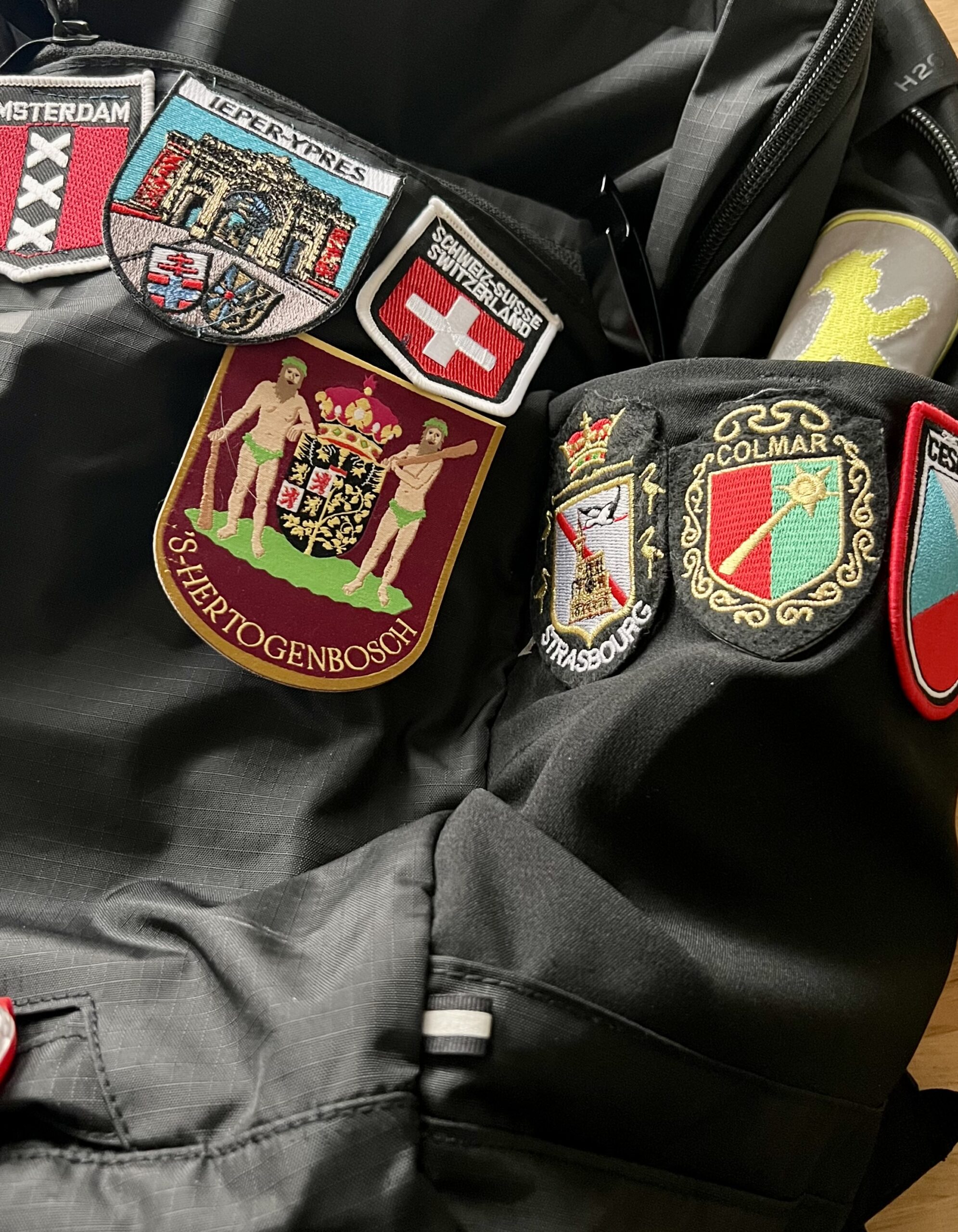 Officieel 's-Hertogenbosch Stadswapen Embleem – Trots van den Bosch